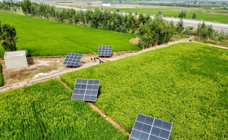 renewable energy